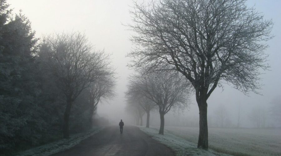 Alone-1024x768