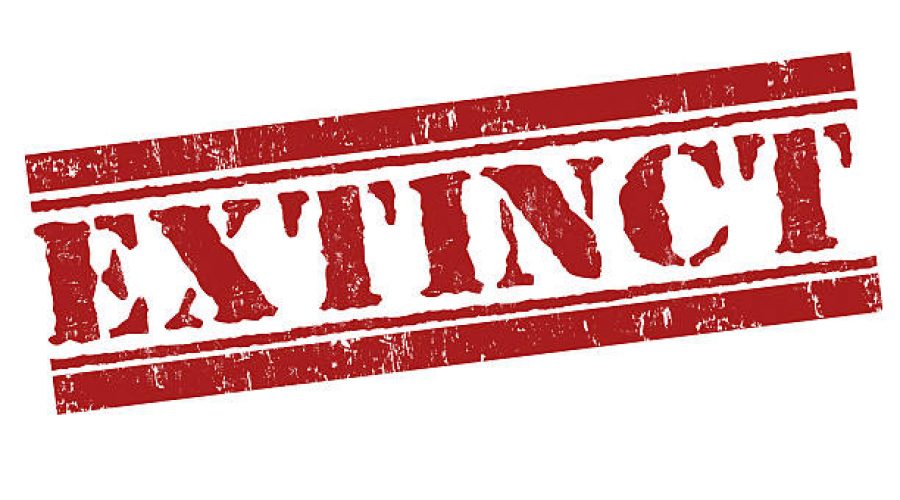 Will Your Mutual Fund Go Extinct in 15 Years